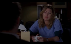 Meredith Grey