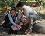 S193x05-42.jpg (4.72 MB)