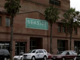 Seaside Health and Wellness