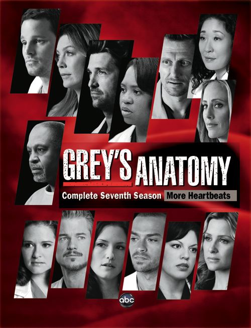grey anatomy season 1 dvd