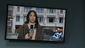 TV Reporter