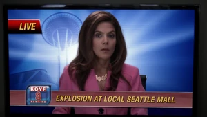 Morning Anchor Diane