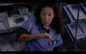 Cristina Yang