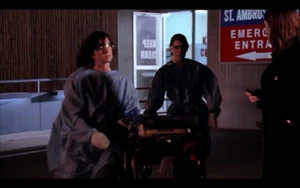 ER Doctor #2