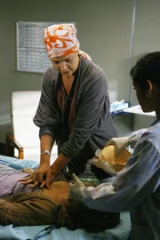 5x23-21.jpg (361 KB)
