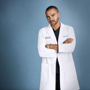 Season 17 Grey S Anatomy Grey S Anatomy Universe Wiki Fandom