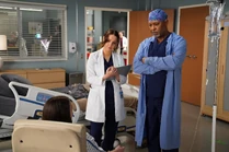 Tess Anderson | Grey's Anatomy Universe Wiki | Fandom
