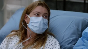Meredith Grey