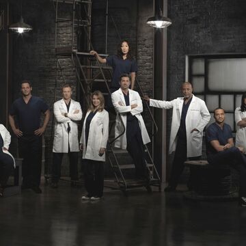 Season 9 Grey S Anatomy Grey S Anatomy Universe Wiki Fandom