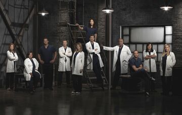 Season 9 Grey s Anatomy Grey s Anatomy Universe Wiki Fandom