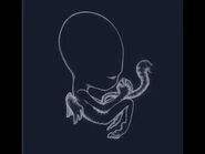 "Starálfur" - Sigur Rós