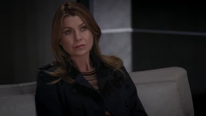 Meredith Grey