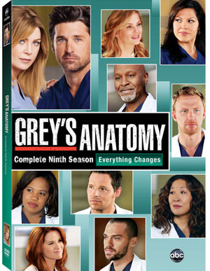 GreysAnatomyS9DVD