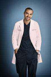 Jesse Williams as Jackson Avery