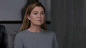 Meredith Grey