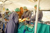 13x08-21.jpg (99 KB)