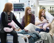 16x11-14.jpg (5.51 MB)