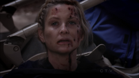 8x24ArizonaRobbins