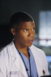 Gaius Charles as Shane Ross