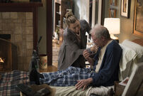 15x11-9.jpg (1.54 MB)