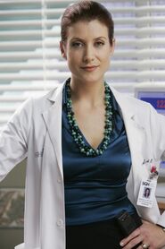 Season 2 (Grey's Anatomy), Grey's Anatomy Universe Wiki