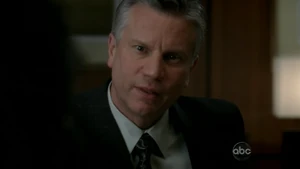 Lawyer
