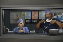 Tess Anderson | Grey's Anatomy Universe Wiki | Fandom