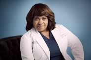 Chandra Wilson como Miranda Bailey