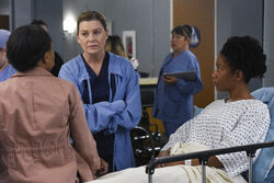 Grey's anatomy season 16 store episode 18 watch online dailymotion