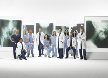 Season 6 Grey s Anatomy Grey s Anatomy Universe Wiki Fandom