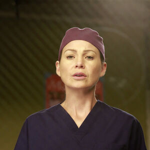 Scrubs Grey S Anatomy Universe Wiki Fandom Apart from that we are manufacturing our own line of medical outfits and dental instruments for hospitals and. scrubs grey s anatomy universe wiki