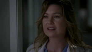 Meredith Grey