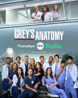 GreysAnatomyTemporada22Poster-2