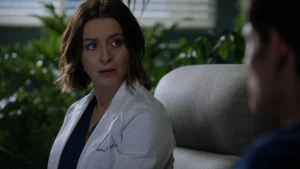 Amelia Shepherd