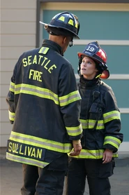 S195x08-17.jpg (3.53 MB)