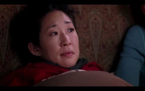 Cristina Yang