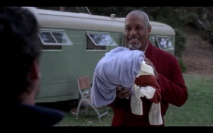 Richard Webber