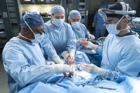 15x18-15.jpg (2.08 MB)