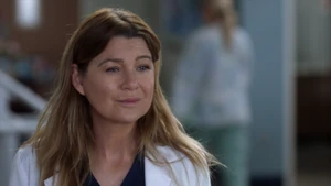 Meredith Grey