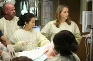4x16-4.jpg (282 kB)