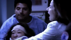 Doctor #3 and Boise chief