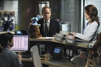 Robert Stark | Grey's Anatomy Universe Wiki | Fandom