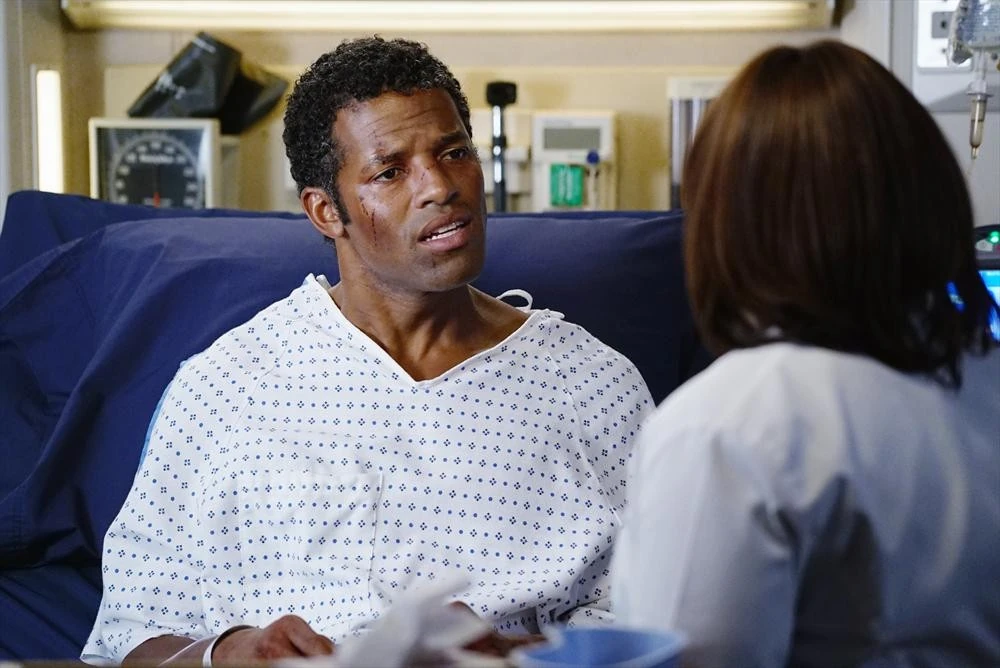 Rosalind Warren Grey's Anatomy Universe Wiki Fandom