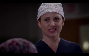Arizona Robbins