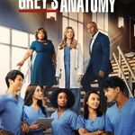 Season 15 Grey s Anatomy Grey s Anatomy Universe Wiki Fandom