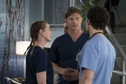 Link y DeLuca pelean por Meredith.