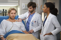 Grey's Anatomy and Station 19 Crossovers, Grey's Anatomy Universe Wiki
