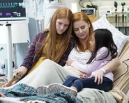 16x11-4.jpg (5.63 MB)