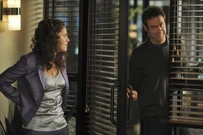 PP2x02-12.jpg (320 KB)