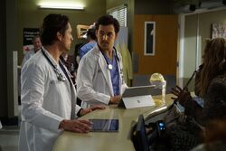 Greys anatomy season 13 episode 14 back where you belong Grey S Anatomy Season 13 Episode 14 Review Back Where You Belong Tv Fanatic